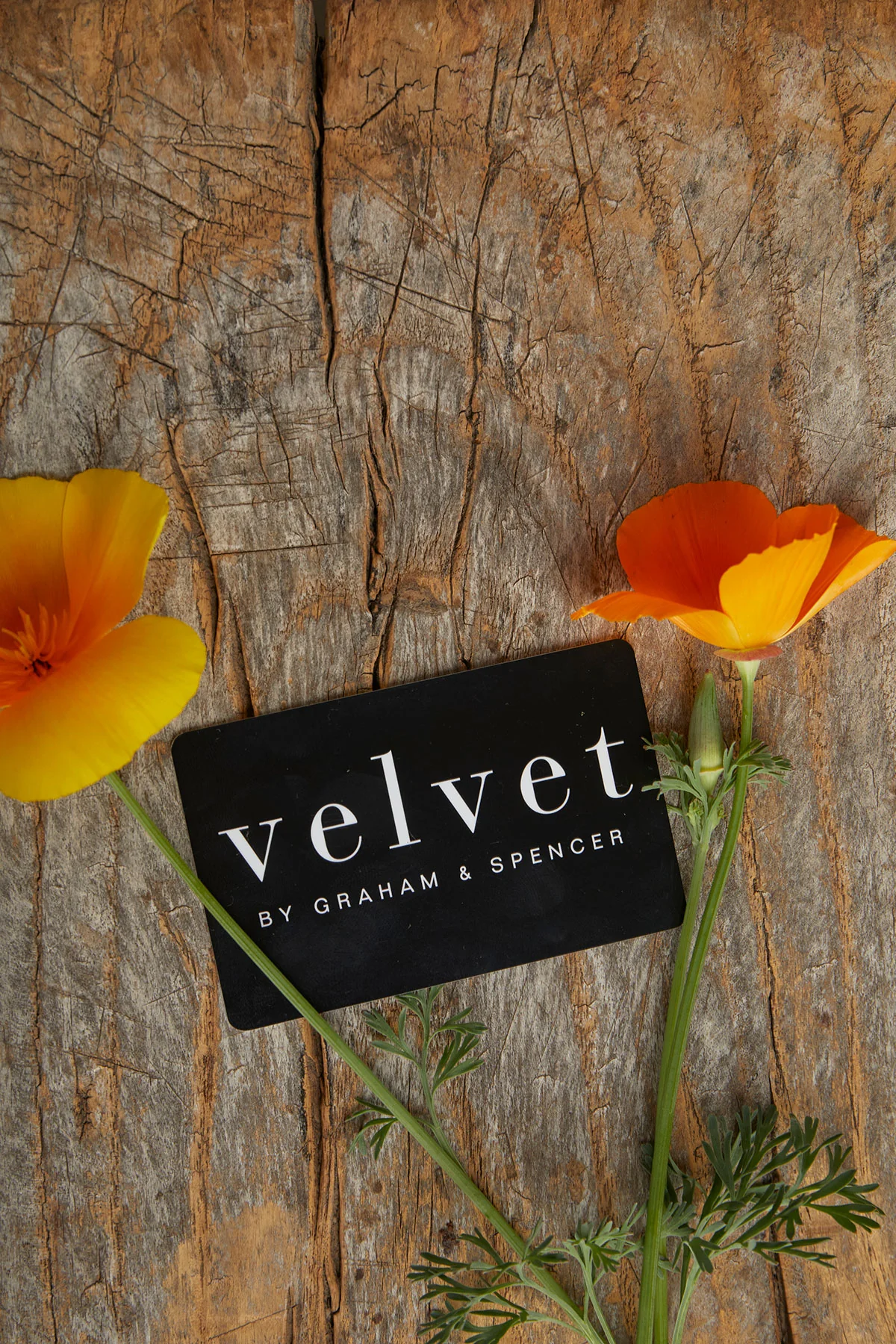 4140-velvet-by-graham-spencer-e-gift-card-1.webp Velvet by Graham & Spencer E-Gift Card